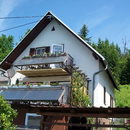 Riedl Gaestewohnung Klagenfurt am Woerthersee Exteriér fotografie