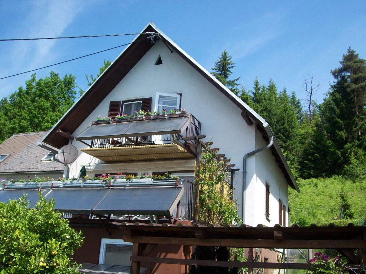 Riedl Gaestewohnung Klagenfurt am Woerthersee Exteriér fotografie